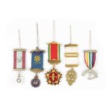 A COLLECTION OF MASONIC AND ORDER OF THE BUFFALOES MEDALS