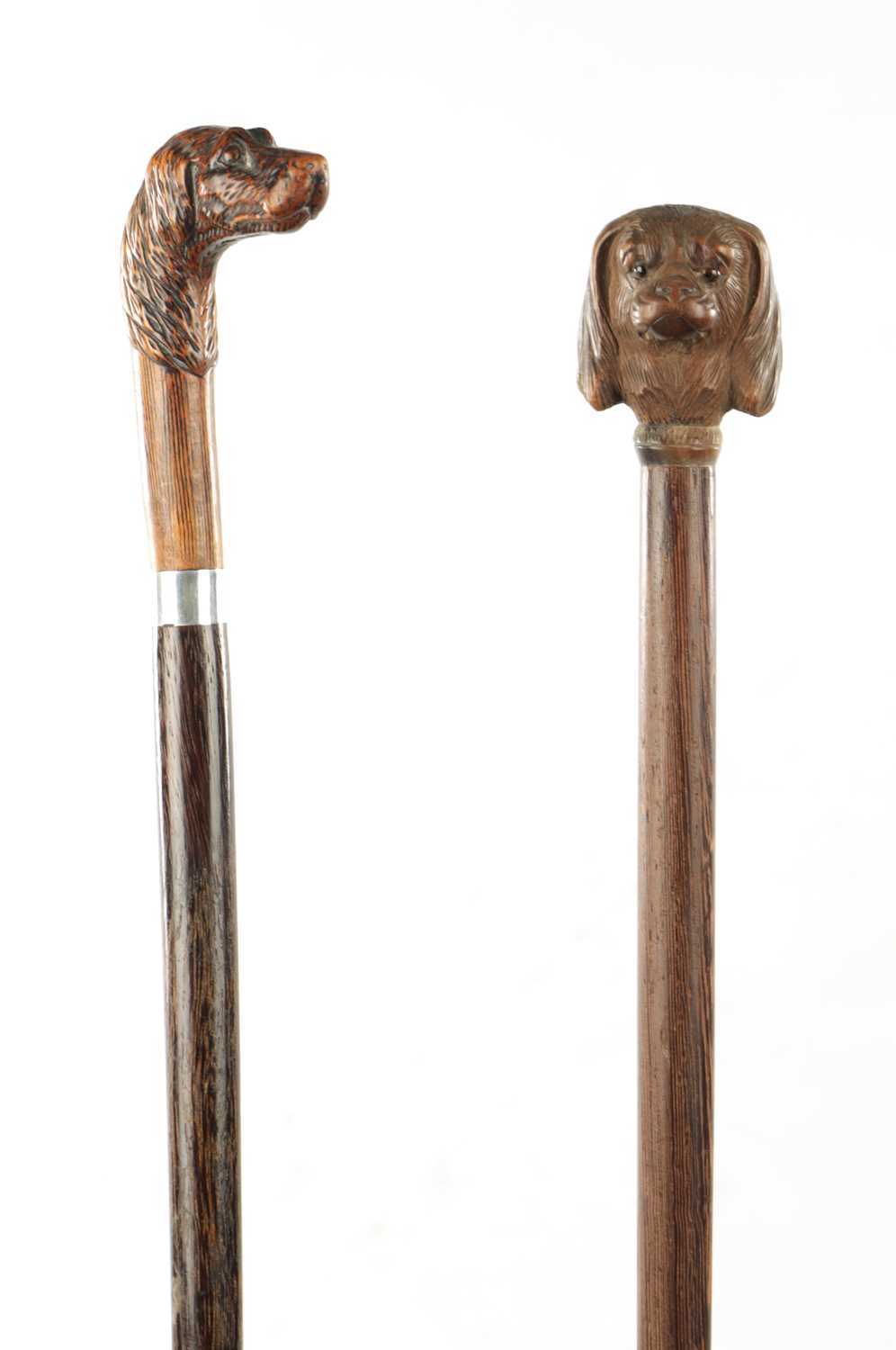 TWO LATE 19TH CENTURY CARVED DOG'S HEAD WALKING STICKS