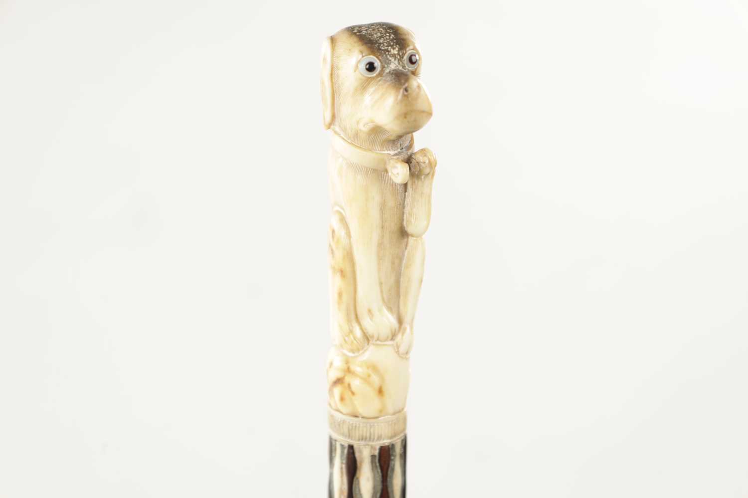 AN EARLY 19TH CENTURY CARVED STAG HORN WALKING CANE - Image 2 of 7