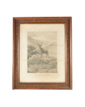 A 19TH CENTURY PRINT THE MONARCH OF THE GLEN