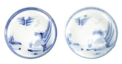 A PAIR OF LATE 19TH CENTURY CHINESE BLUE AND WHITE DISHES