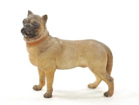 A LATE 19TH CENTURY COLD PAINTED TERRACOTTA MODEL OF A PUG DOG