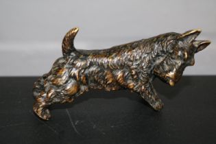 Franz Xaver Bergmann style Bronze of a Scottie Dog. 10cm in Length