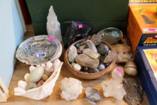 Collection of assorted Shells and Polished stones to include Pyrite, Quartz etc