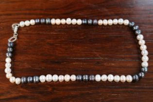 Ladies 2 Tone Pearl Necklace with Silver Clasp