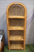 Vintage Cane Domed top bookcase