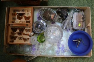 Box of assorted Glassware, Silver plated ware and a tray of Taxidermy Butterflies