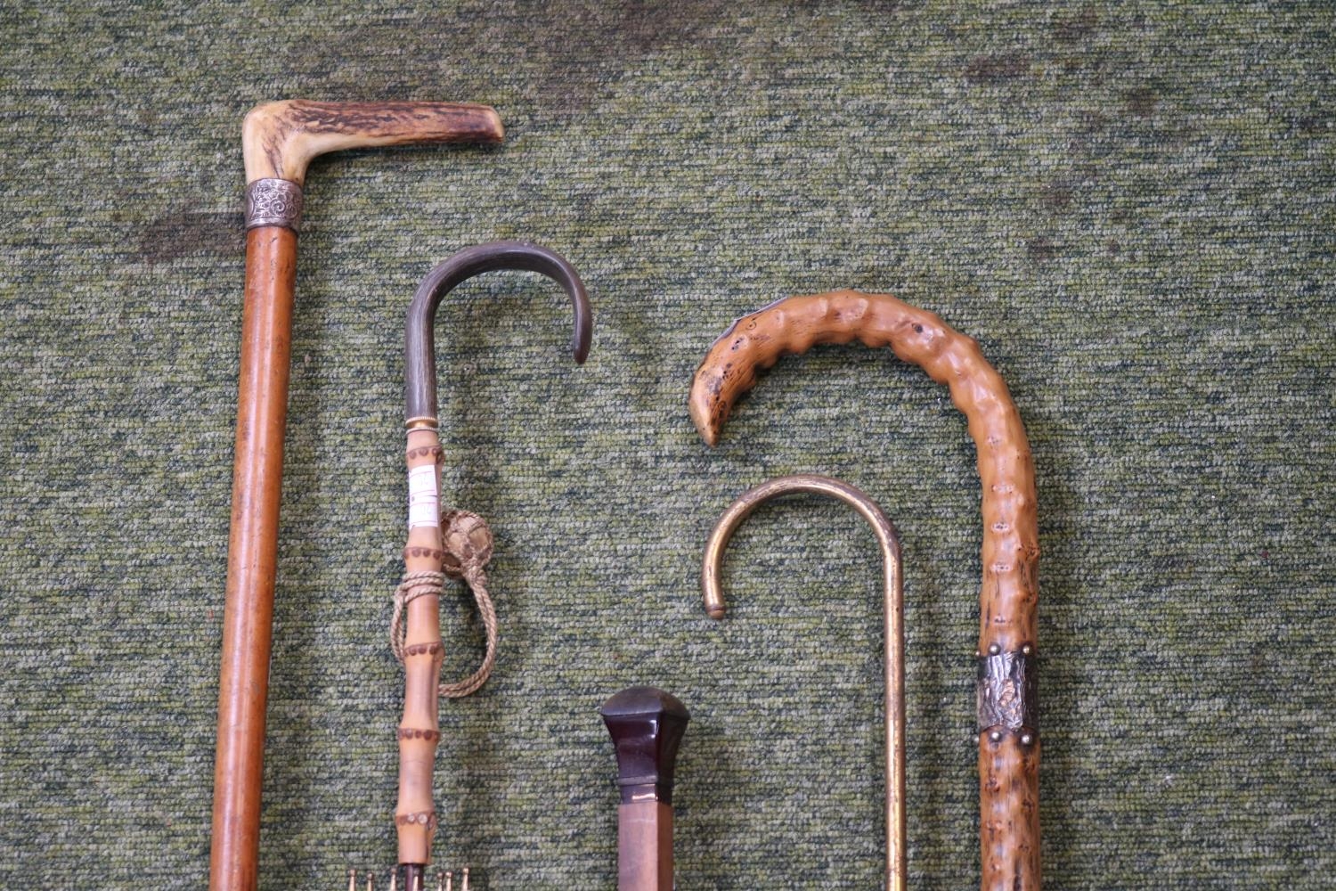 Collection of Vintage Umbrellas and Canes with with silver collars - Image 2 of 2