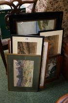 Collection of assorted Framed Pictures Prints and Watercolour to include Shipwreck Treasure Map of