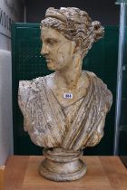 Large Classical Plaster Bust