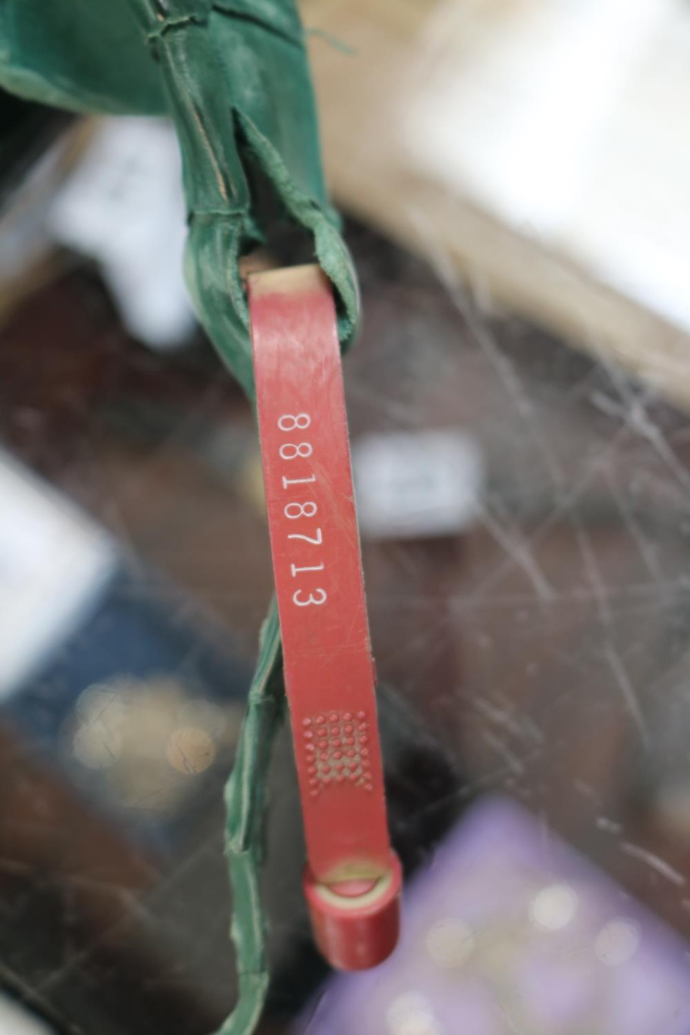 Green Leather Crocodile Skin with import tag - Image 2 of 2