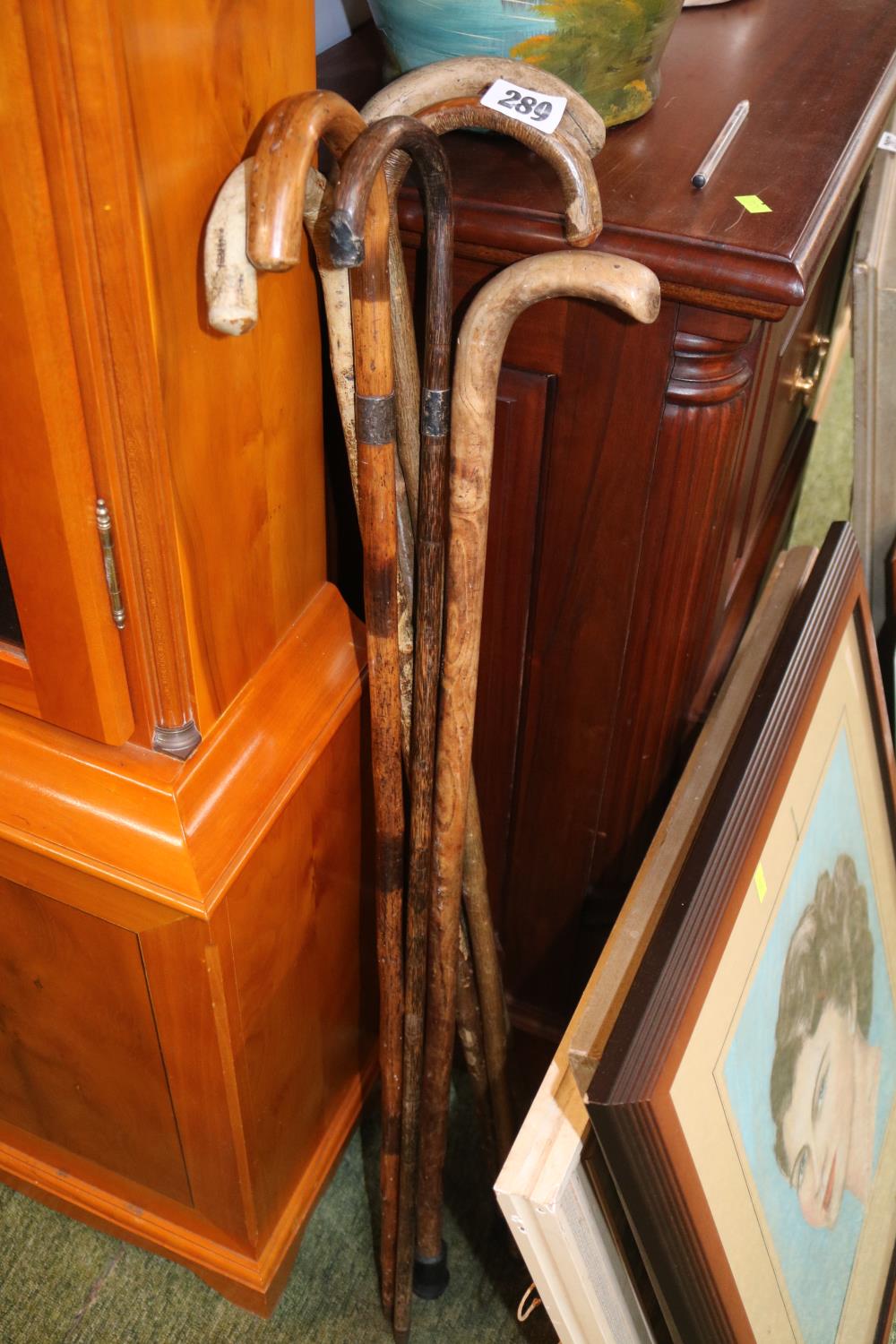 Collection of Vintage Walking Canes some with Silver fittings