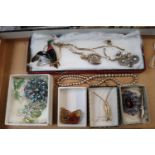 Collection of assorted Edwardian and later Costume jewellery inc. Brooches, Necklace etc