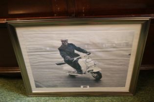 Framed print of a man on a Lambretta