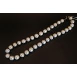 Good quality Ladies Pearl Necklace with Facetted Sapphires on Silver 42cm in Length