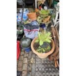 Large collection of Garden Pots