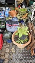 Large collection of Garden Pots