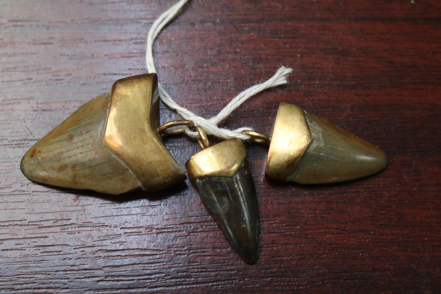 3 Megalodon teeth in Brass pendant mounts