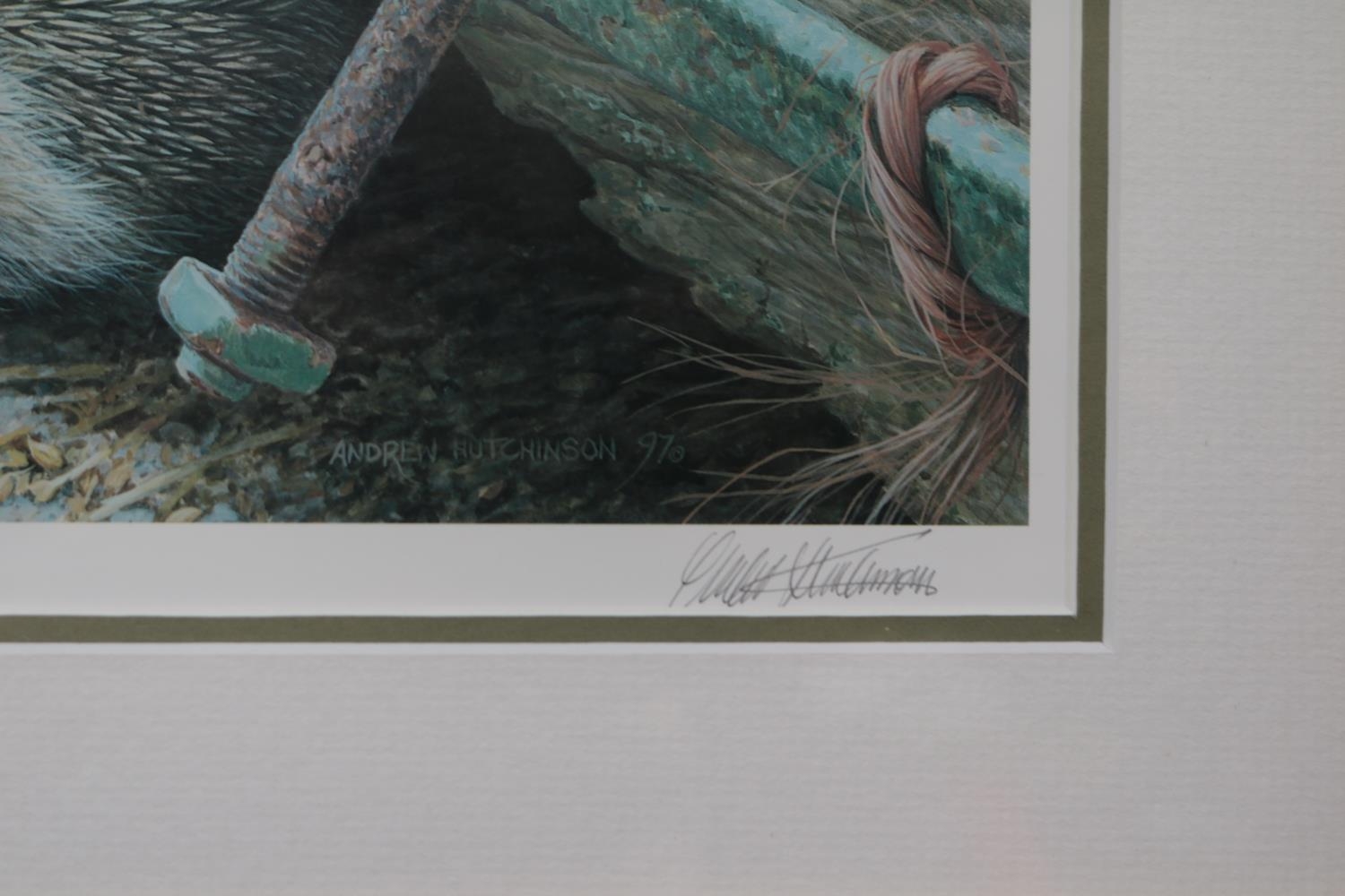 2 Framed Limited edition signed prints by Andrew Hutchinson depicting Hedgehog and Wren - Image 2 of 3