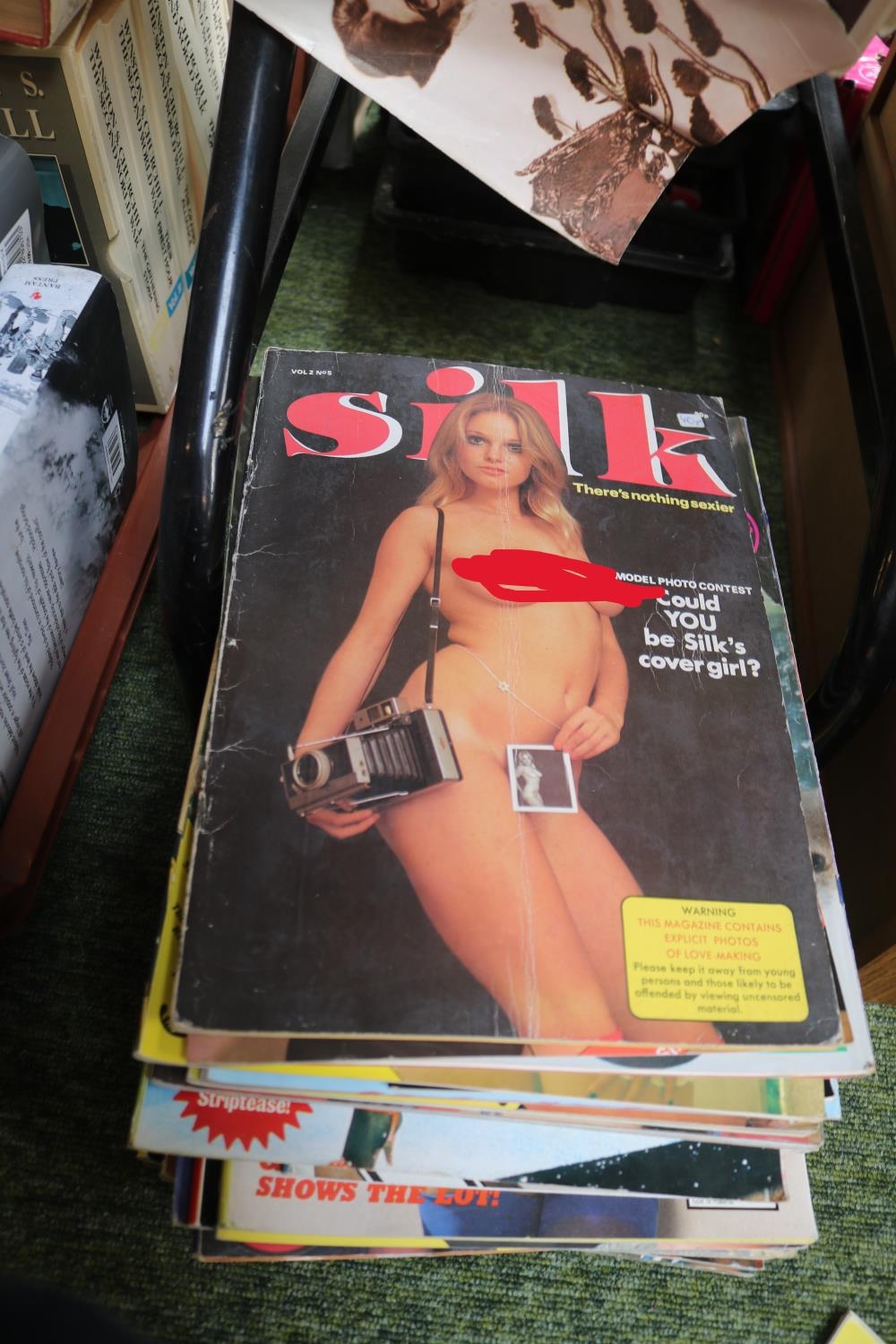 Collection of assorted Adult Magazines inc. New Direction, Astra, Silk, Waterloo, Fiesta etc - Image 2 of 3