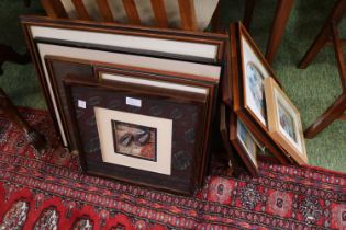 Collection of assorted Pictures and prints to include Framed Fossils