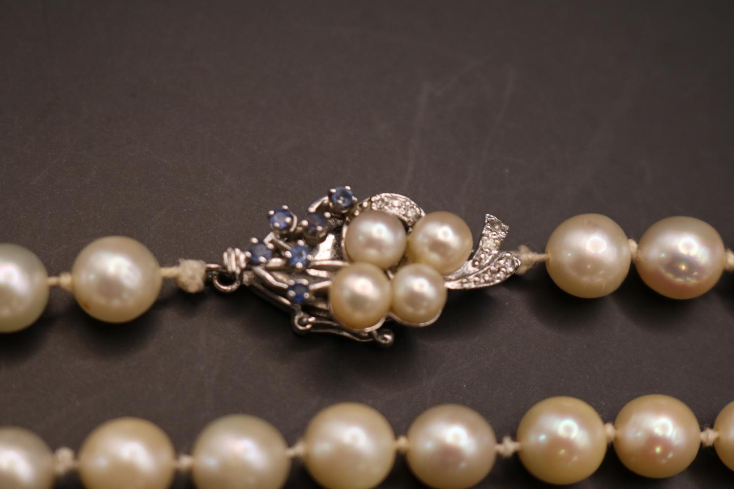 Fine Necklace set of Cultured Pearls set of 14K White Gold Sapphire & Diamond set clasp. 61 Hand - Image 3 of 4