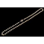 Fine Necklace set of Cultured Pearls set of 14K White Gold Sapphire & Diamond set clasp. 61 Hand