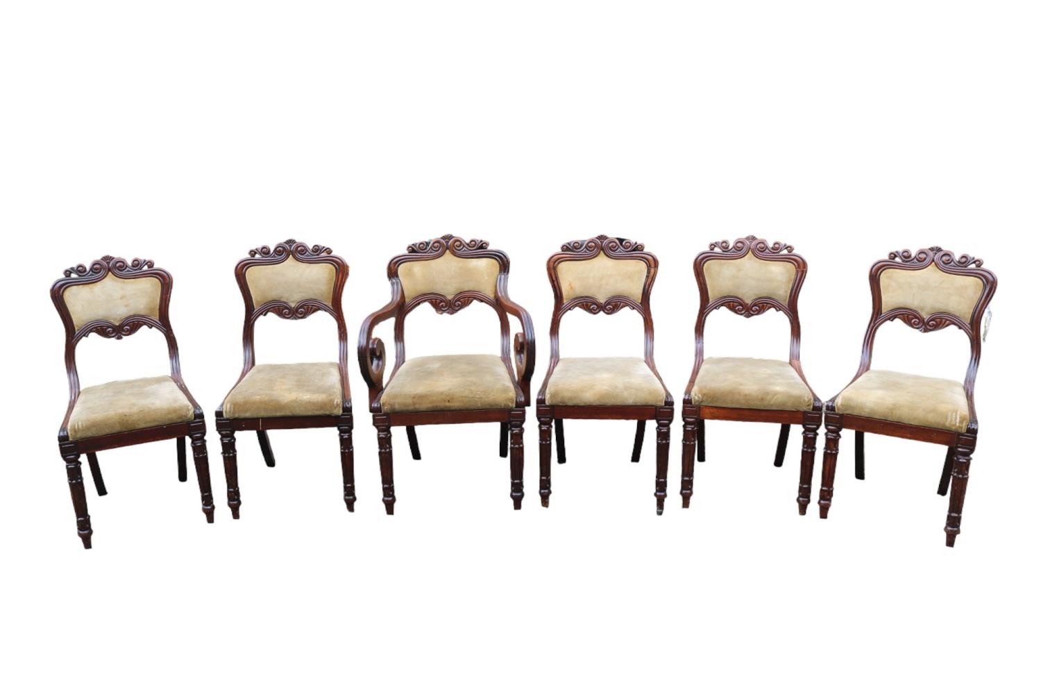 19thC Set of 6 Mahogany dining chairs with upholstered backs and drop in seats over carved show