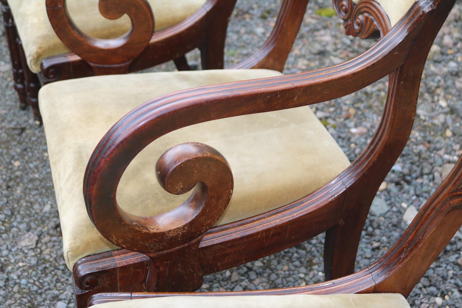19thC Set of 6 Mahogany dining chairs with upholstered backs and drop in seats over carved show - Image 4 of 6