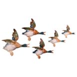 Set of 5 Beswick Ceramic Flying Wall ducks 596 - 0, 596 - 1, 596-2, 596-3 & 596-4 ranging from