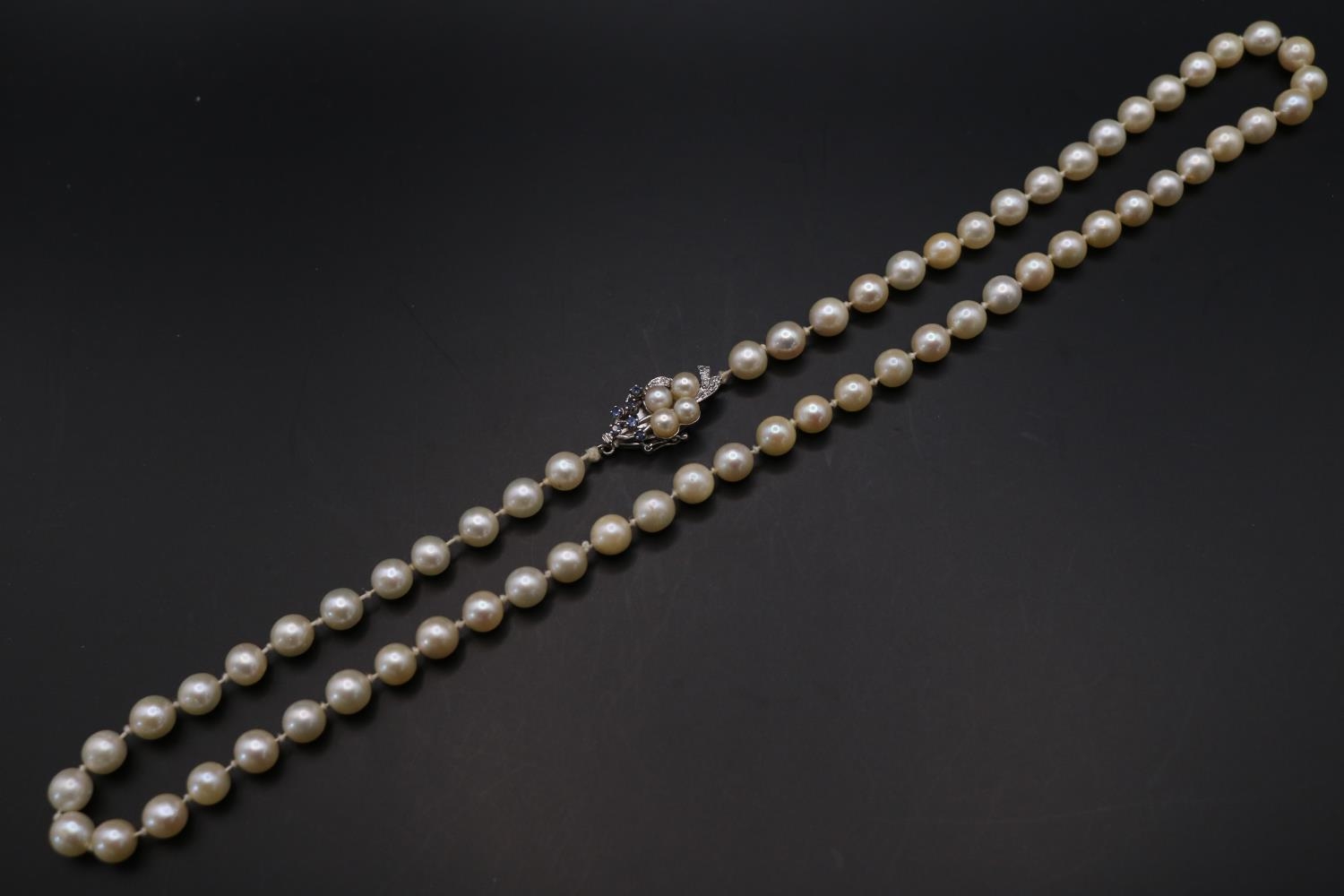 Fine Necklace set of Cultured Pearls set of 14K White Gold Sapphire & Diamond set clasp. 61 Hand - Image 2 of 4