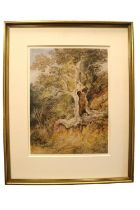 Peter DeWint (British, 1784 - 1849). Framed Watercolour of a Knarled Oak in country setting.