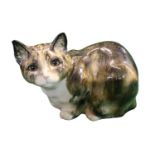 Large Winstanley Tabby cat with glass eyes 18cm in Height