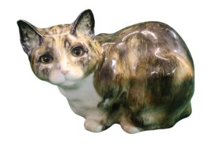 Large Winstanley Tabby cat with glass eyes 18cm in Height
