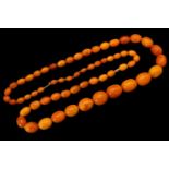 Graduated Amber bead necklace, comprising sixty-one oval butterscotch and honey coloured amber