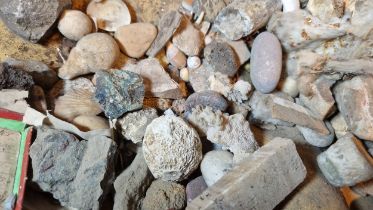 A small collection of fossils and similar items to include crystals