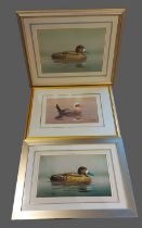 Malachi Smith, Duck, mixed media, signed, 41cms by 58cms, together with two other similar pictures
