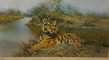 After David Shepherd, Tiger In The Sun, limited edition print number 328/850, signed in pencil,