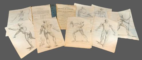 A Compendious Treatise of Anatomy by J Tinney, a folio containing eight copper plate engravings