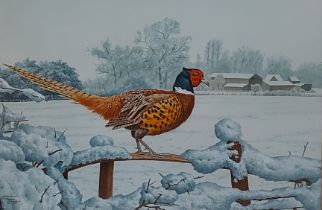 Stephen Gayford 'Study of a Pheasant within a Winter Landscape' watercolour, 31 x 46 cms
