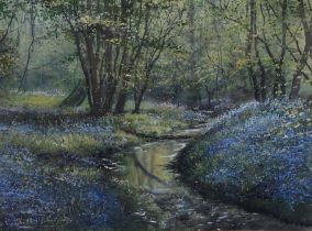 Andrew Dandridge, The Stream in Bluebell Wood, watercolour, signed, 28cms by 38cms