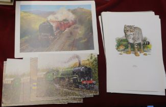 Great Britain group of prints and maxi cards showing stamp designs, 8x Steam Engines, 8x Flora and