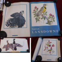 (9) Birds Prints - coloured bird prints, some by F.L. Lansdowne, good condition, may have some folds