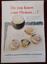 Guinness - County Life December 10th 1959 'Do you know your oysters?'