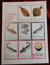 Print Guinness Country Life March 18th 1965 'Guinness Guide to Sea Fish' excellent condition