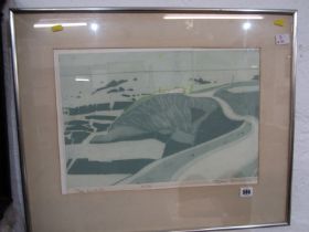 JOHN BRUNSDON signed limited edition etching, "The Lizard"