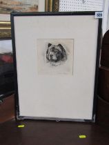 DAVID GEE pencil signed etching, "Head and shoulders portrait of Chow Chow dog" 13cm x 13cm