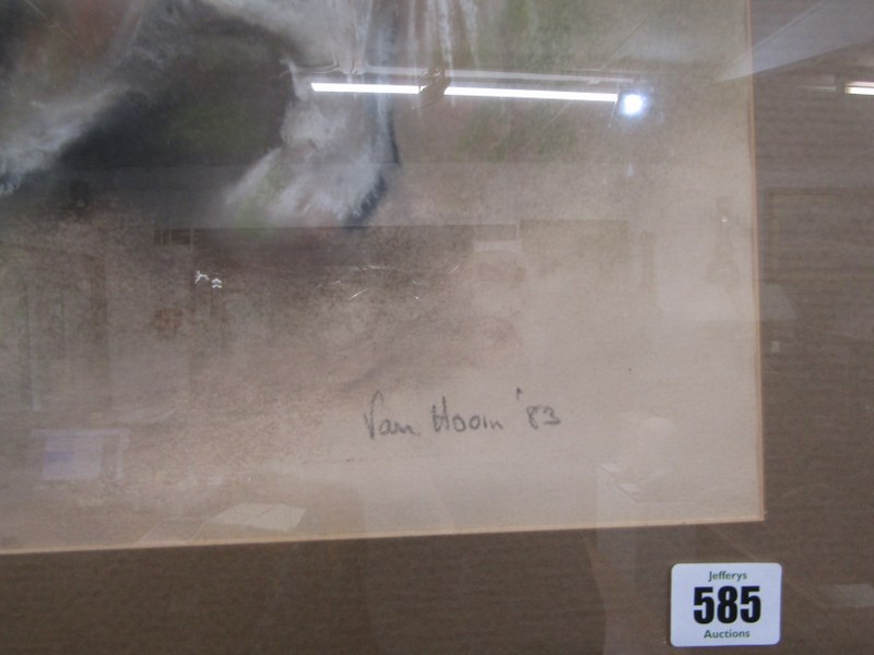 PAM HOOIN signed pastel dated 1983, "Portrait of Pekinese Dog", 32cm x 45cm - Image 3 of 3