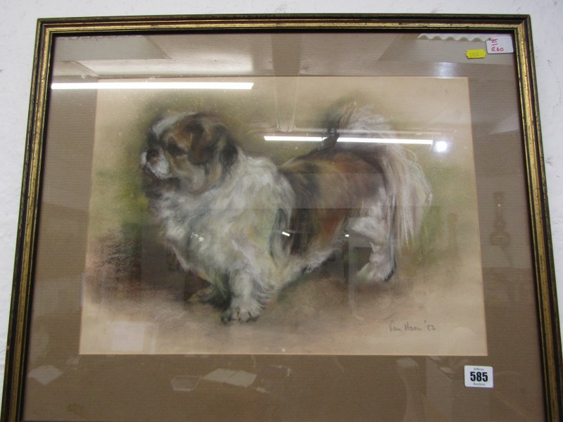 PAM HOOIN signed pastel dated 1983, "Portrait of Pekinese Dog", 32cm x 45cm