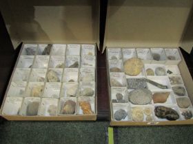 FOSSILS, 2 boxes of identified fossils including ammonite, sea urchin and gastropod